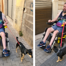dispensador de bolsas para perros