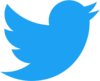 ico-twitter-logo