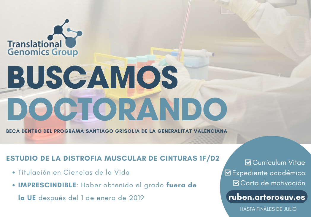 Buscamos Doctorando para el Grupo de Genómica Traslacional Humana en Valencia