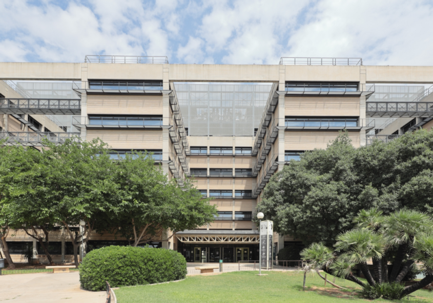 Conquistando Escalones y la Universidad de Valencia renuevan su convenio por 19.000 €