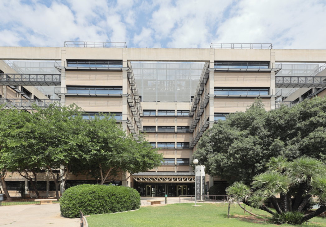 Conquistando Escalones y la Universidad de Valencia renuevan su convenio por 19.000 €