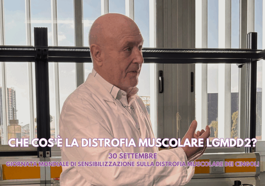 Che cosè la Distrofia Muscolare LGMDD2 30 settembre Giornata Mondiale di Sensibilizzazione sulla Distrofia Muscolare dei Cingoli