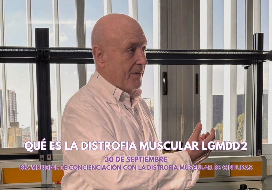 Qué es la distrofia muscular de cinturas 30 de septiembre Día Mundial de Concienciación con la Distrofia Muscular de Cinturas Qué es la distrofia muscular de cinturas 30 de septiembre Día Mundial de Concienciación con la Distrofia Muscular de Cinturas